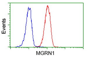 MGRN1 Antibody in Flow Cytometry (Flow)