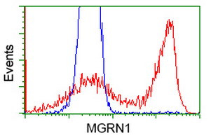 MGRN1 Antibody in Flow Cytometry (Flow)