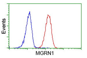 MGRN1 Antibody in Flow Cytometry (Flow)