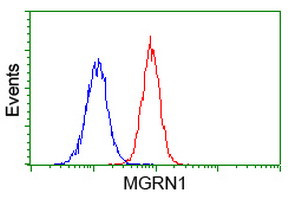 MGRN1 Antibody in Flow Cytometry (Flow)