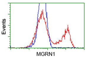 MGRN1 Antibody in Flow Cytometry (Flow)