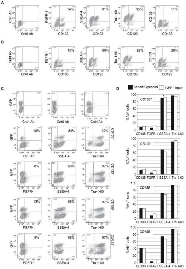 FLT3 Antibody in Flow Cytometry (Flow)