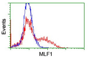 MLF1 Antibody in Flow Cytometry (Flow)