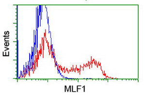 MLF1 Antibody in Flow Cytometry (Flow)