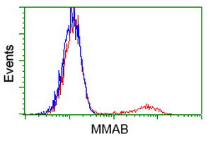 MMAB Antibody in Flow Cytometry (Flow)