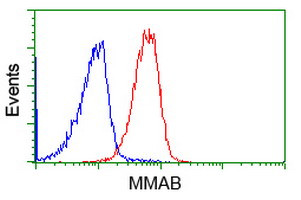 MMAB Antibody in Flow Cytometry (Flow)