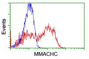 MMACHC Antibody in Flow Cytometry (Flow)