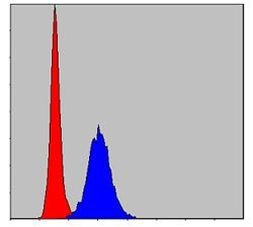 MMP9 Antibody in Flow Cytometry (Flow)