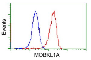 MOBKL1A Antibody in Flow Cytometry (Flow)