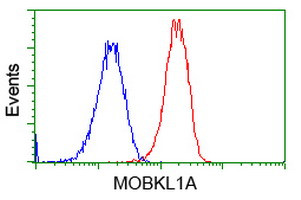 MOBKL1A Antibody in Flow Cytometry (Flow)