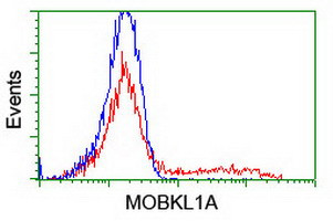 MOBKL1A Antibody in Flow Cytometry (Flow)