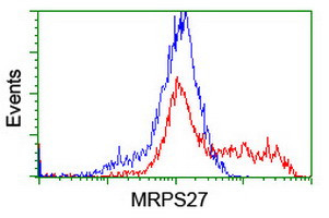 MRPS27 Antibody in Flow Cytometry (Flow)