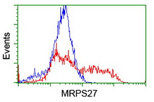 MRPS27 Antibody in Flow Cytometry (Flow)