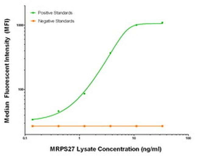 MRPS27 Antibody in Luminex (LUM)