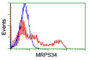 MRPS34 Antibody in Flow Cytometry (Flow)