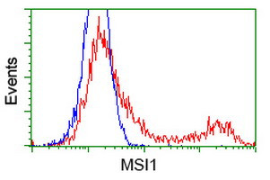 MSI1 Antibody in Flow Cytometry (Flow)