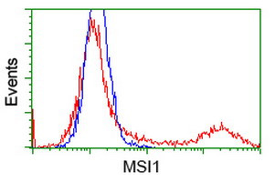 MSI1 Antibody in Flow Cytometry (Flow)