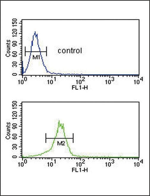 MTHFD2 Antibody in Flow Cytometry (Flow)