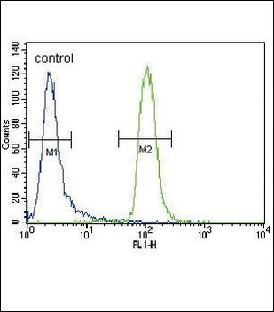 MUSK Antibody in Flow Cytometry (Flow)