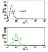 MUTYH Antibody in Flow Cytometry (Flow)