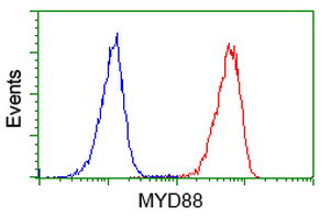 MYD88 Antibody in Flow Cytometry (Flow)