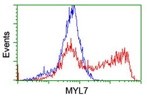 MYL7 Antibody in Flow Cytometry (Flow)