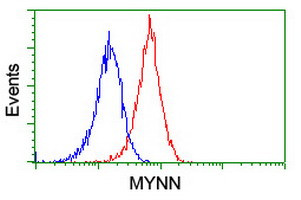 MYNN Antibody in Flow Cytometry (Flow)