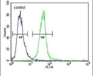 MYOZ1 Antibody in Flow Cytometry (Flow)