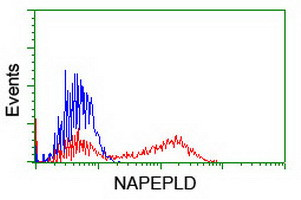 NAPEPLD Antibody in Flow Cytometry (Flow)