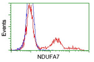 NDUFA7 Antibody in Flow Cytometry (Flow)