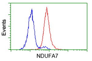 NDUFA7 Antibody in Flow Cytometry (Flow)