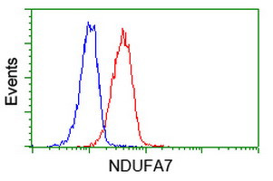 NDUFA7 Antibody in Flow Cytometry (Flow)