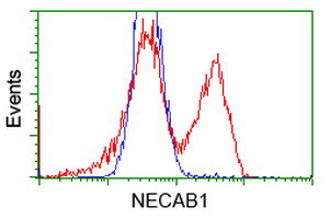 NECAB1 Antibody in Flow Cytometry (Flow)