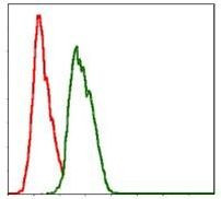 NEDD8 Antibody in Flow Cytometry (Flow)