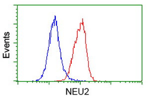 NEU2 Antibody in Flow Cytometry (Flow)