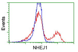 NHEJ1 Antibody in Flow Cytometry (Flow)