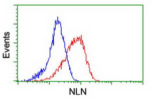 NLN Antibody in Flow Cytometry (Flow)