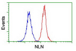NLN Antibody in Flow Cytometry (Flow)