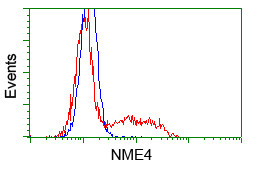 NME4 Antibody in Flow Cytometry (Flow)