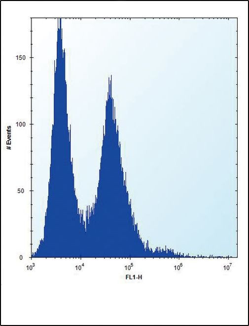 NPM1 Antibody in Flow Cytometry (Flow)