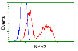 NPR3 Antibody in Flow Cytometry (Flow)