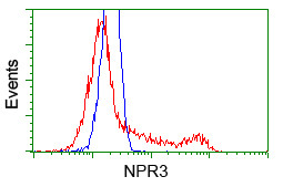 NPR3 Antibody in Flow Cytometry (Flow)