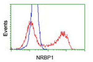 NRBP1 Antibody in Flow Cytometry (Flow)