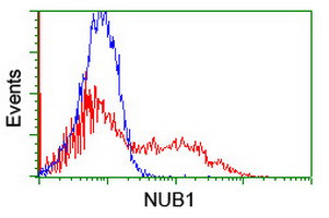 NUB1 Antibody in Flow Cytometry (Flow)