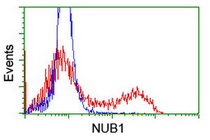 NUB1 Antibody in Flow Cytometry (Flow)