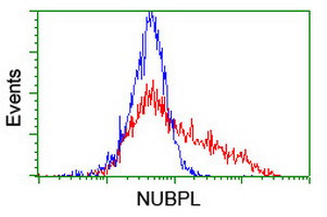 NUBPL Antibody in Flow Cytometry (Flow)