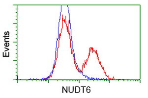 NUDT6 Antibody in Flow Cytometry (Flow)