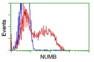 NUMB Antibody in Flow Cytometry (Flow)