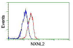 NXNL2 Antibody in Flow Cytometry (Flow)