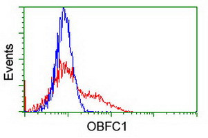 OBFC1 Antibody in Flow Cytometry (Flow)